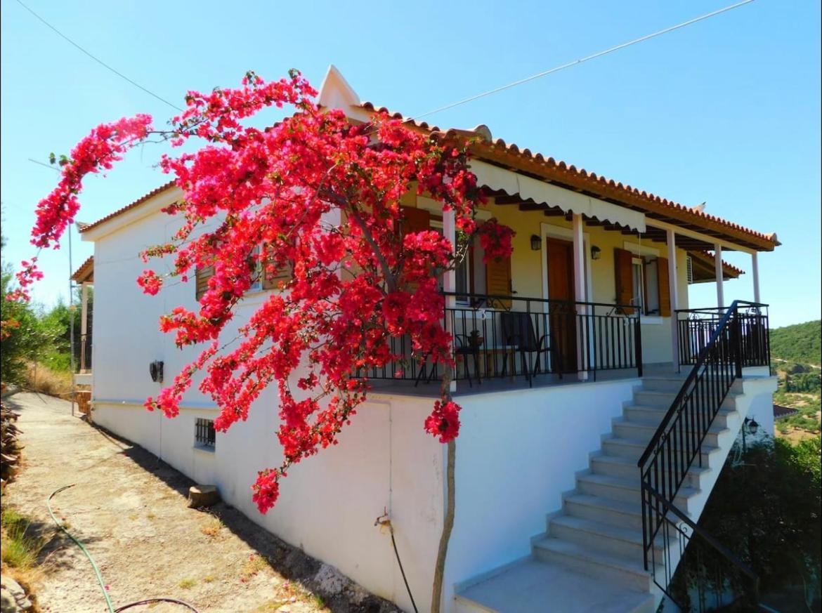 Nirvana Guest House Vasilitsion ภายนอก รูปภาพ